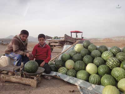 دیم قارپزی